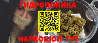 ГАЛЛЮЦИНОГЕННЫЕ ГРИБЫ Пугачёв